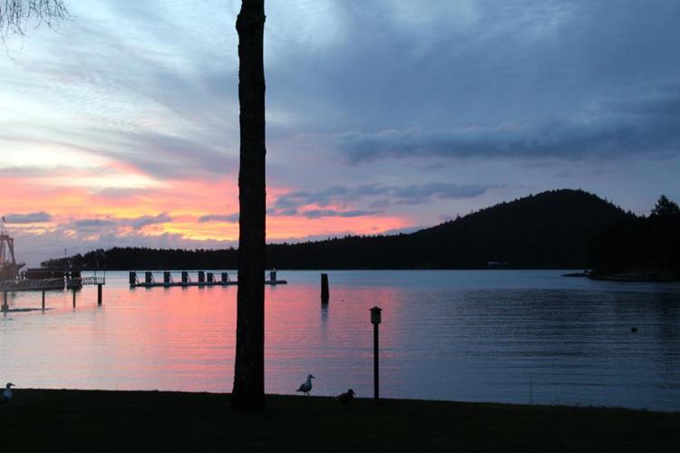 The view from my room at the inn...