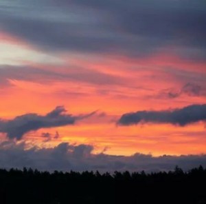 The gloaming...as beautiful as it is heartrending. The end of the day...