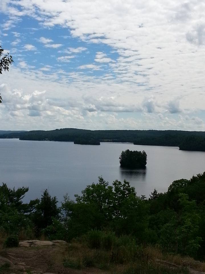 13592691_10153622124367021_4300550121915514015_n