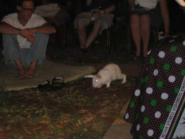 FB_IMG_1557061953971