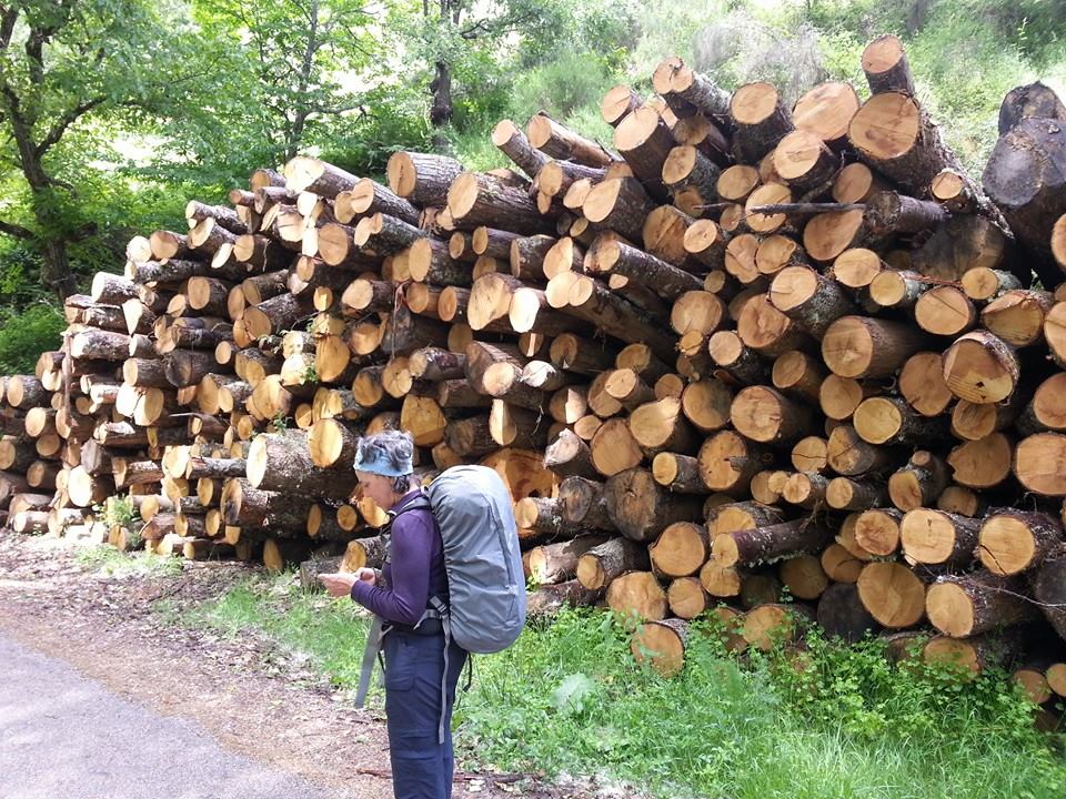 10308267_10152084155452021_5831586631744457719_n